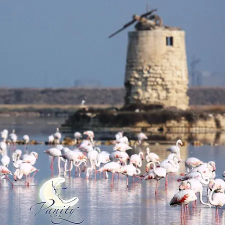 Vanity Aparthotel 4*